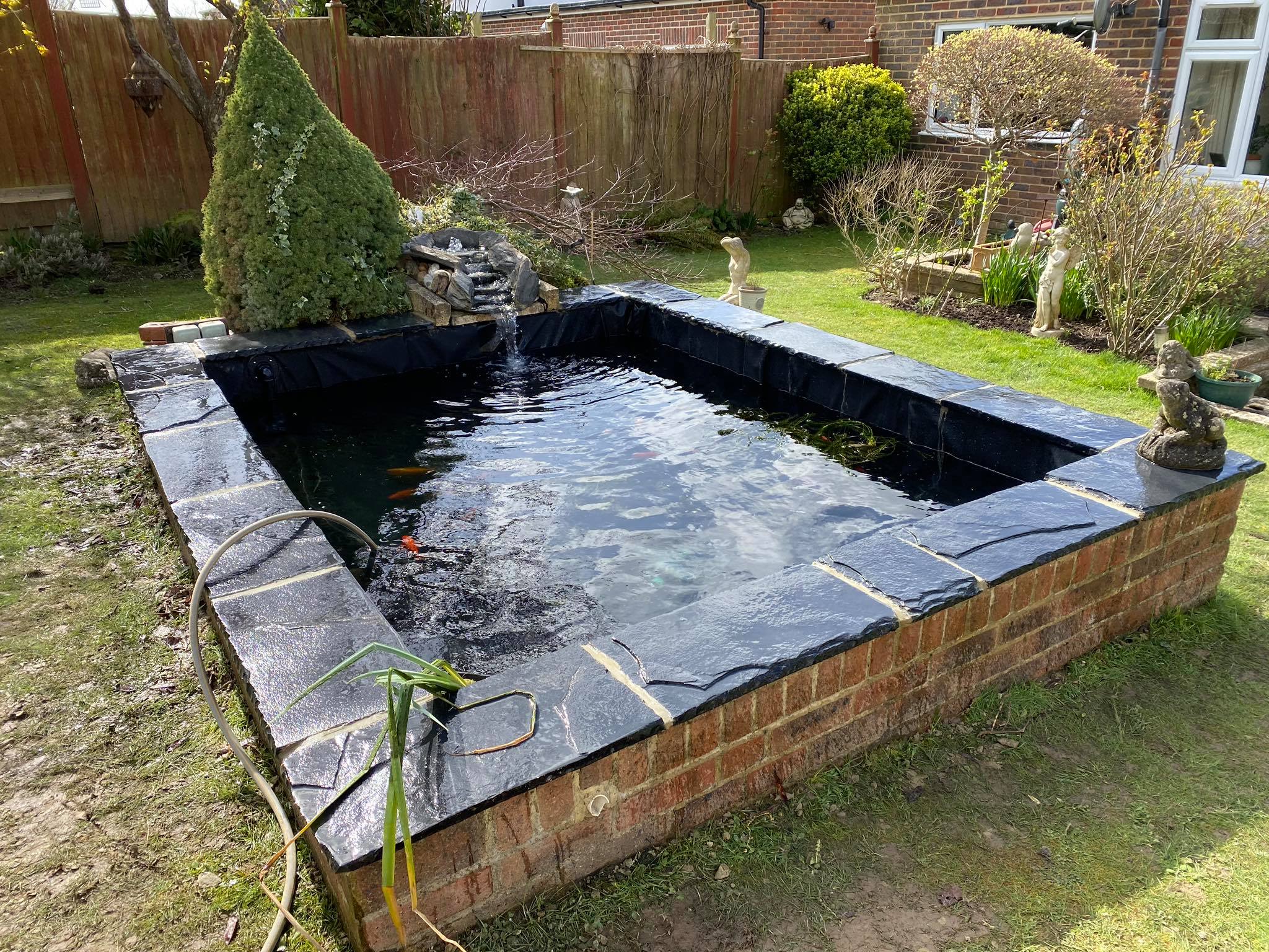 Full pond clean & tidy in Worthing